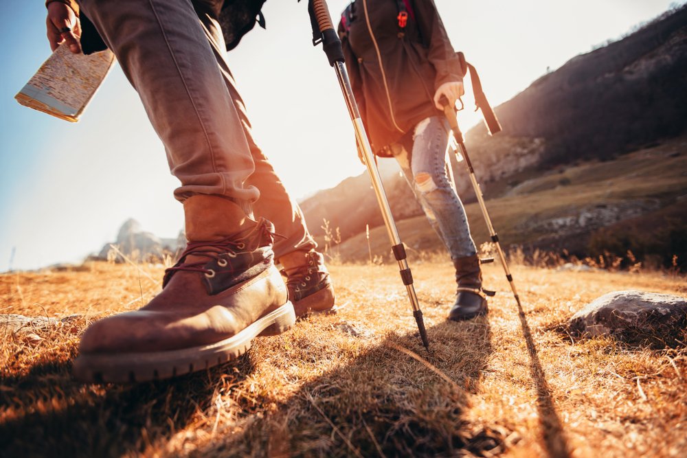 shutterstock_1230048289 shutterstock_1230048289